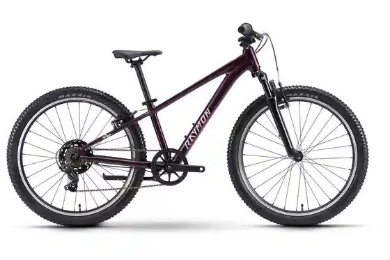 Kindermountainbikes - Raymon Nayta 24 Comp - 24 Zoll - Diamant - 2027
