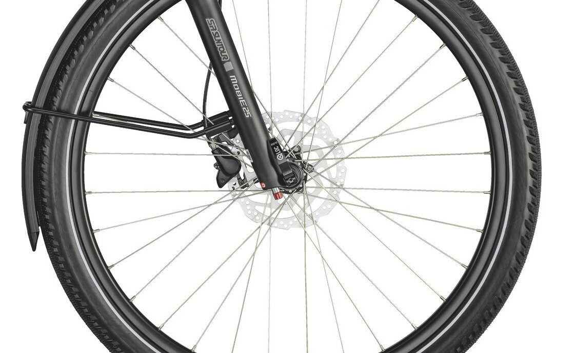 Bergamont E-Horizon FS Expert - 625 Wh - 28 Zoll - Fully - Aktion