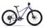 Raymon Nayta 24 Pro - 24 Zoll - Diamant - 2027