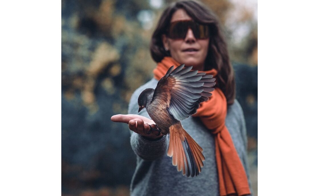 CHPO Erica Turtle Brown - Gold Mirror