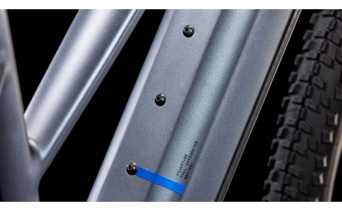 Cube Reaction Hybrid Pro 800 - 800 Wh - 29 Zoll - Damen Sport