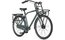 Gazelle HeavyDutyNL - 28 Zoll - Diamant - 2026
