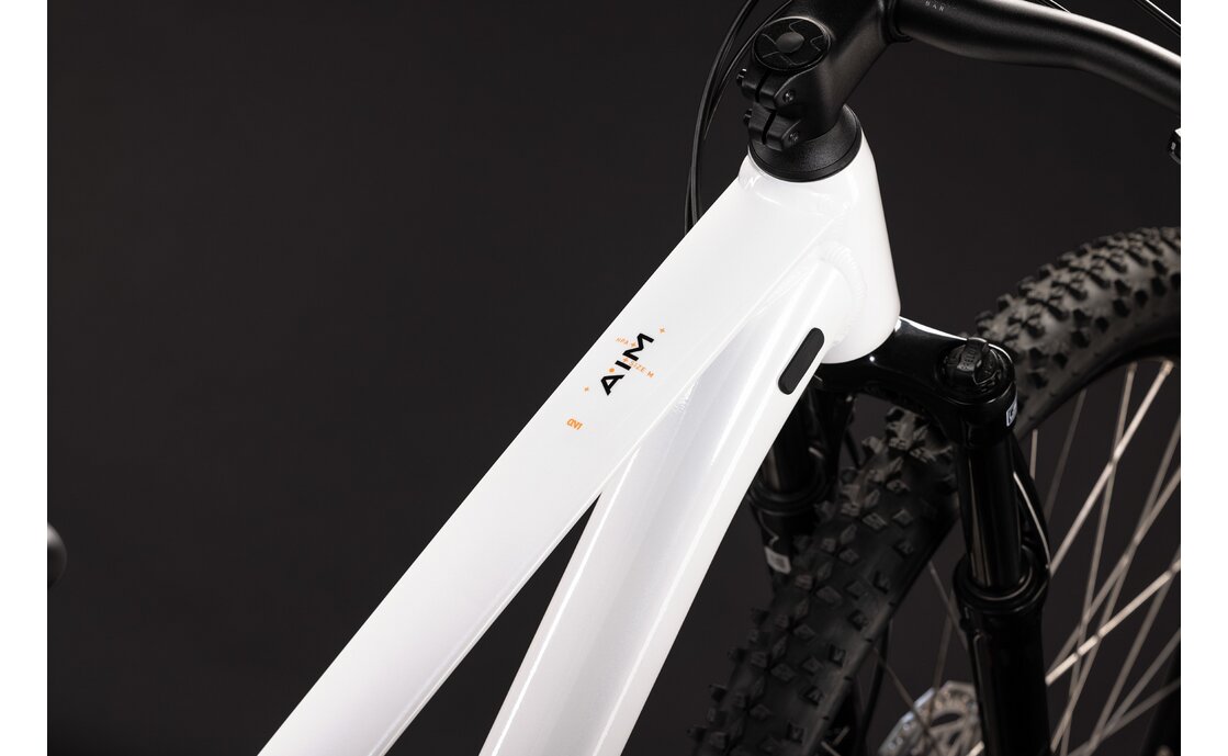 Cube Aim ONE - 29 Zoll - Diamant - 2027