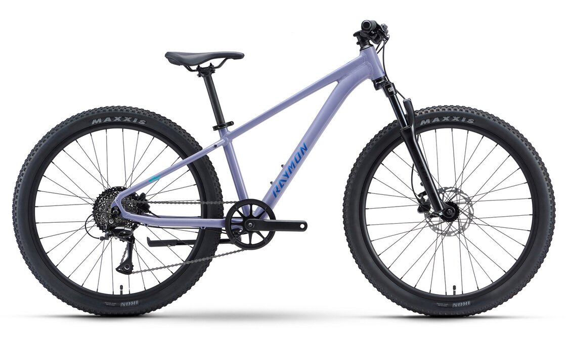 Raymon Nayta 26 Pro - 26 Zoll - Diamant - 2027