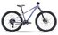 Raymon Nayta 26 Pro - 26 Zoll - Diamant - 2027