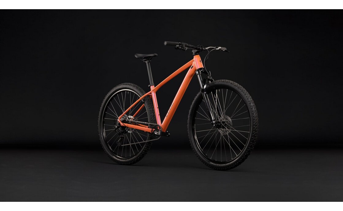 Cube Aim ONE - 29 Zoll - Diamant - 2027