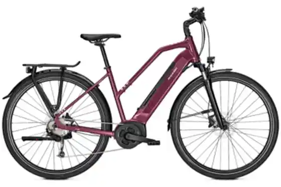 E-Bike Trekking - Raleigh Kent 9 - 500 Wh - 28 Zoll - Trapez