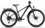 Raymon Nayta 26 Pro Street - 26 Zoll - Diamant - 2027
