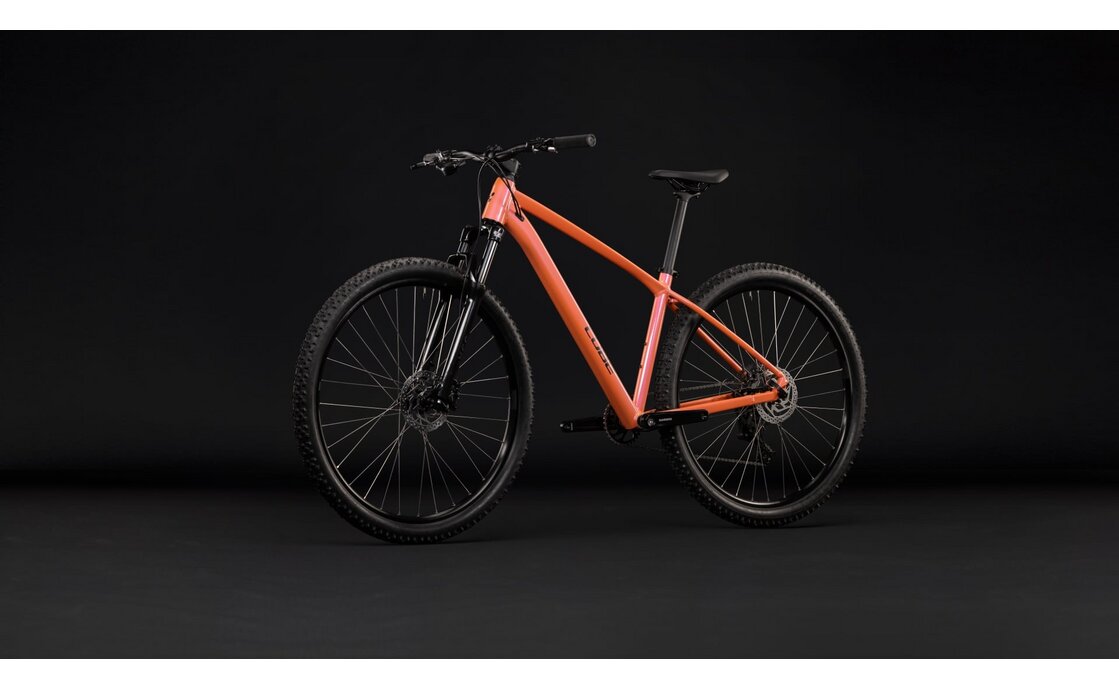 Cube Aim ONE - 29 Zoll - Diamant - 2027