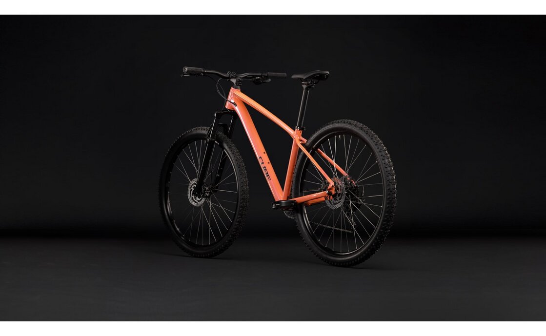Cube Aim ONE - 29 Zoll - Diamant - 2027