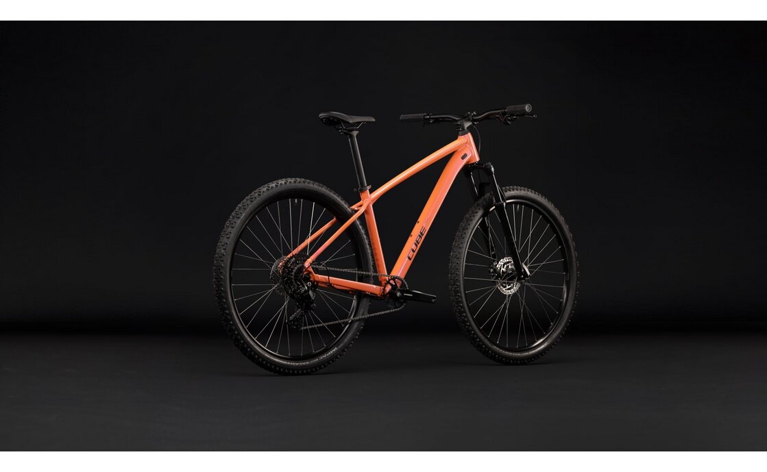 Cube Aim ONE - 29 Zoll - Diamant - 2027