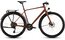 Cube Nulane Race FE - 28 Zoll - Diamant - 2026