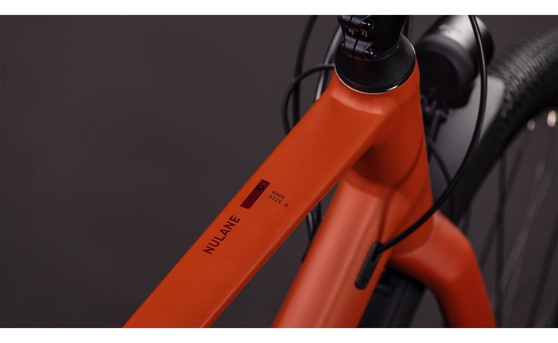 Cube Nulane Race FE - 28 Zoll - Diamant - 2026