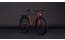 Cube Nulane Race FE - 28 Zoll - Diamant - 2026