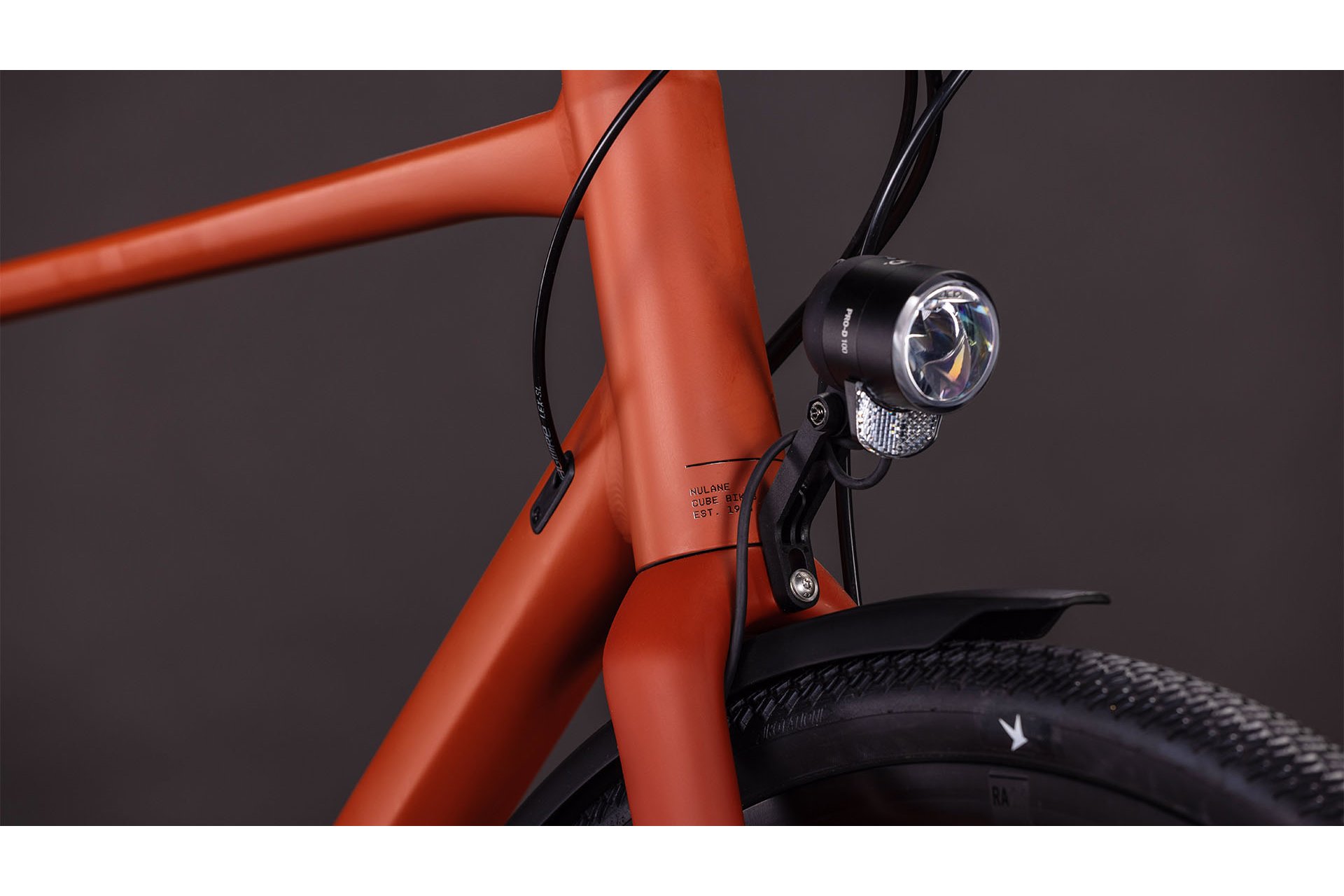 Cube Nulane Race FE - 28 Zoll - Diamant - 2026