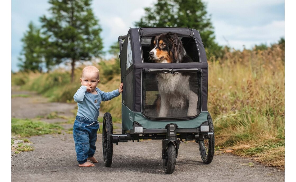 Qeridoo Nacho M Green