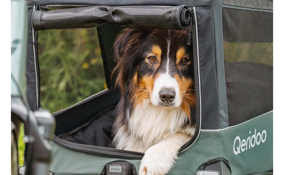 Qeridoo Nacho M Green