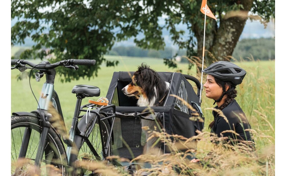 Qeridoo Nacho M Green