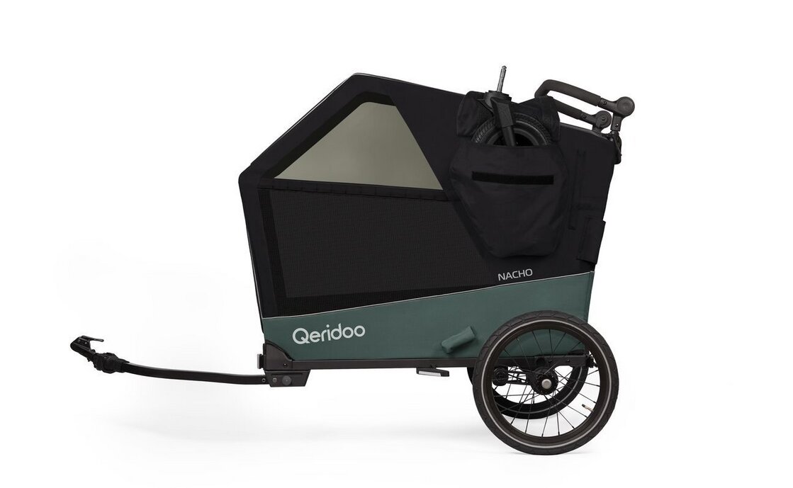 Qeridoo Nacho L Green