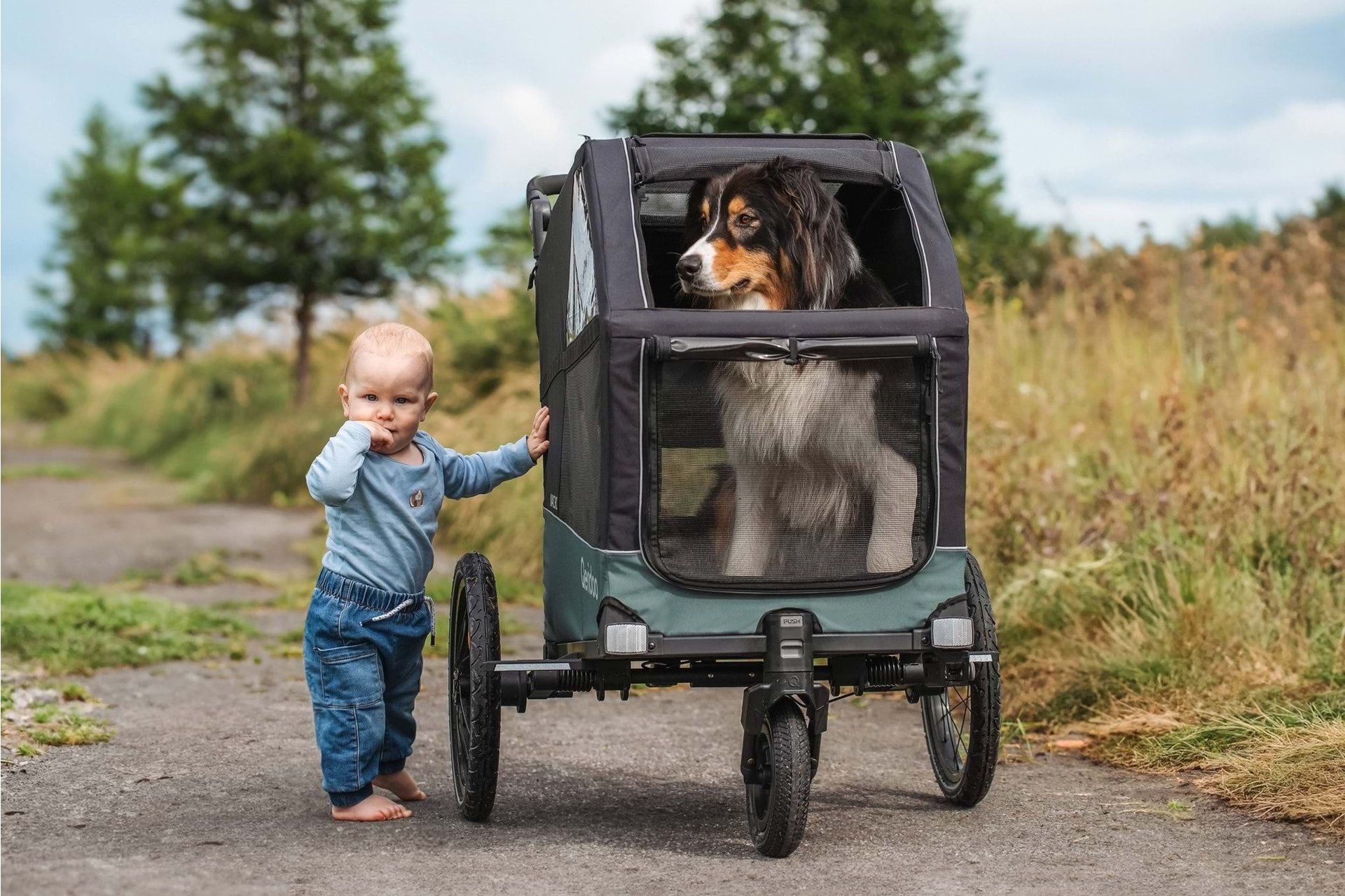 Qeridoo Nacho L Green