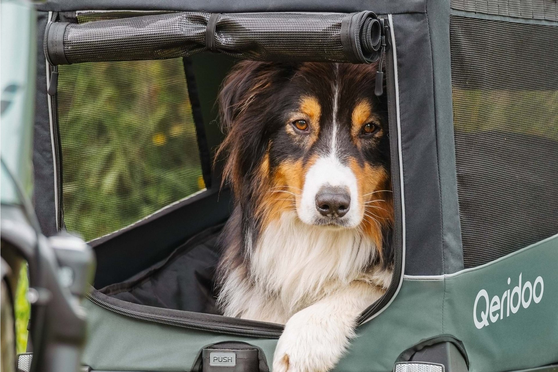 Qeridoo Nacho L Green