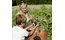 KLICKfix by Rixen&Kaul Korb Doggy Basket
