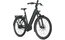 Gazelle Ultimate C380 - 800 Wh - 28 Zoll - Tiefeinsteiger - 2026