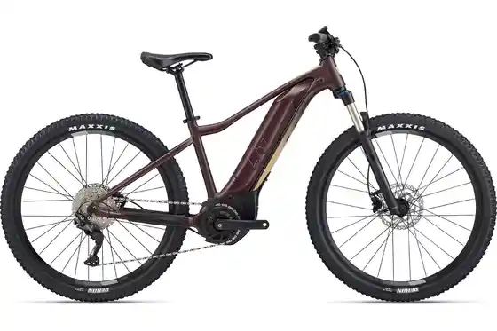 Mittelmotor - E-Bike Hardtail - Liv Tempt E+ 1 V1 - 500 Wh - 29 Zoll - Diamant
