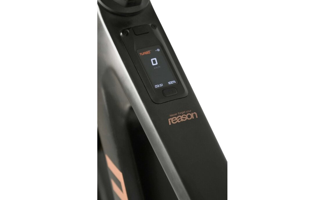 Megamo Reason AIR CRB 10 - 800 Wh - 29 Zoll - Fully