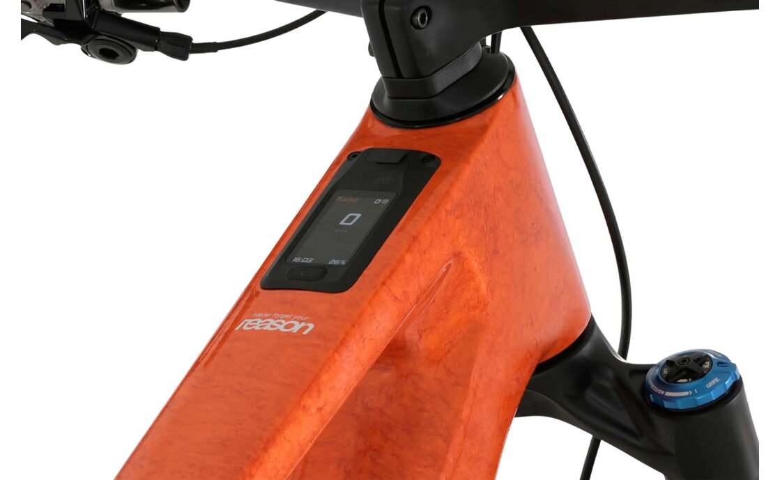 Megamo Reason AIR CRB 10 - 800 Wh - 29 Zoll - Fully