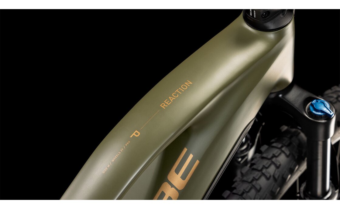 Cube Reaction Hybrid Pro 800 - 800 Wh - 29 Zoll - Damen Sport