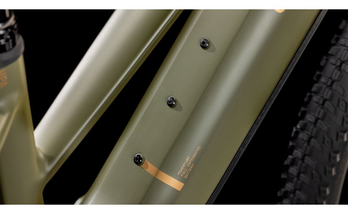 Cube Reaction Hybrid Pro 800 - 800 Wh - 29 Zoll - Damen Sport