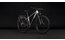Cube Aim Pro FE - 29 Zoll - Diamant - 2027