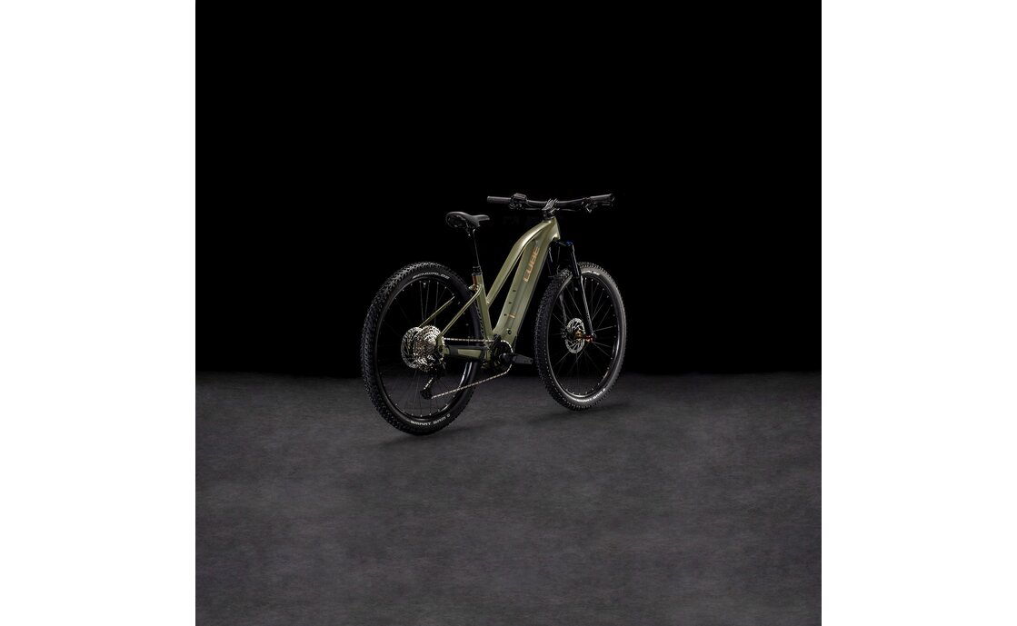 Cube Reaction Hybrid Pro 800 - 800 Wh - 29 Zoll - Damen Sport