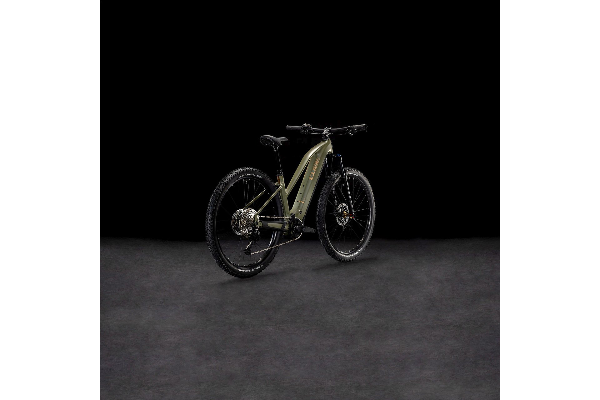 Cube Reaction Hybrid Pro 800 - 800 Wh - 29 Zoll - Damen Sport