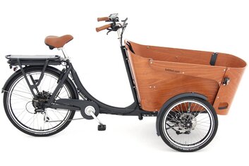 E-Lastenrad - Babboe Flow-E - 450 Wh - 2022 - 26 Zoll - Sonstiges