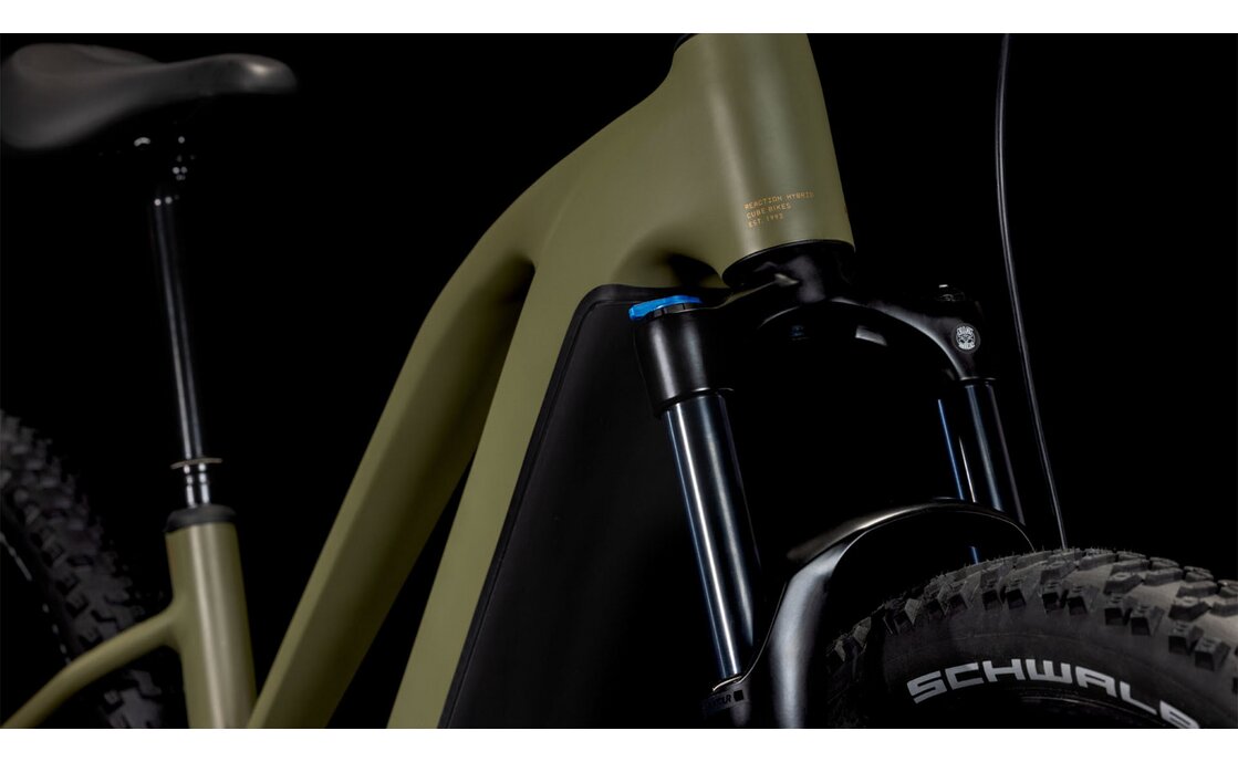 Cube Reaction Hybrid Pro 800 - 800 Wh - 29 Zoll - Damen Sport