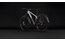 Cube Aim Pro FE - 29 Zoll - Diamant - 2027