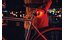AXA DWN 70/DWN USB Rear Signal Set
