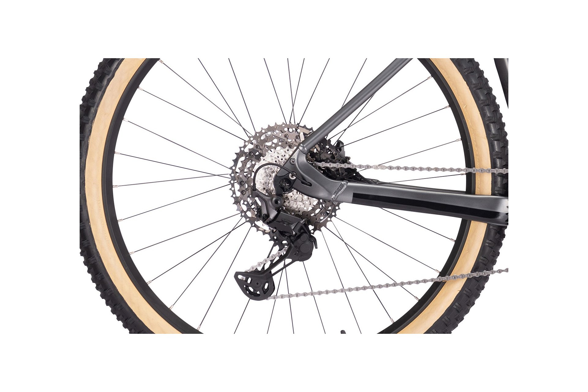 Kettler E-Transhill CX11 LG - 750 Wh - 29 Zoll - Diamant