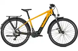 Raleigh Rushhour - Raleigh Dundee 10 - 625 Wh - 28 Zoll - Diamant