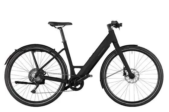 Kettenschaltung - E-Bike-Pedelec - Riese und Müller UBN Six touring - 430 Wh - 28 Zoll - Tiefeinsteiger