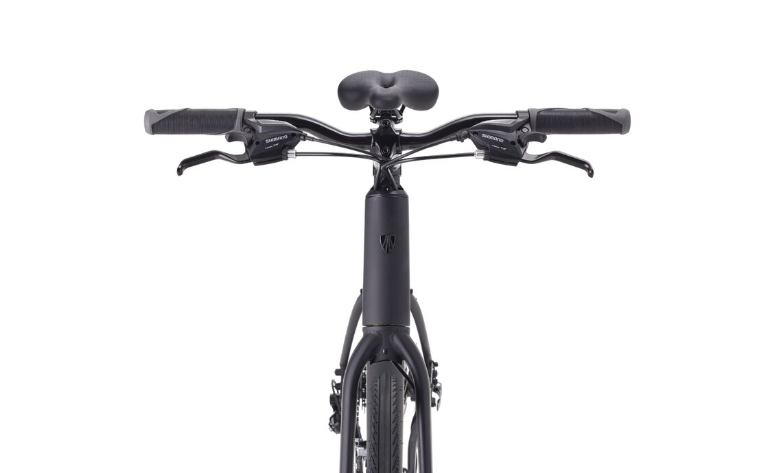 Trek FX 1 Stepover Gen 4 - 28 Zoll - Diamant - 2027