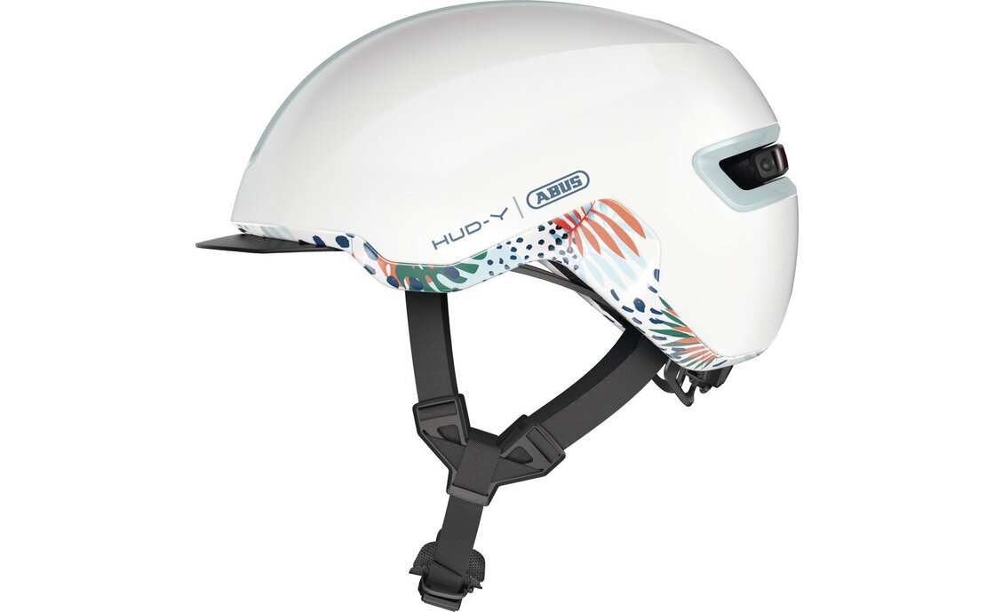 Abus Hud-Y