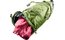 deuter Mondego SB 16