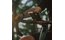 Topeak Phone DryBag M, bis 6,7" Displays