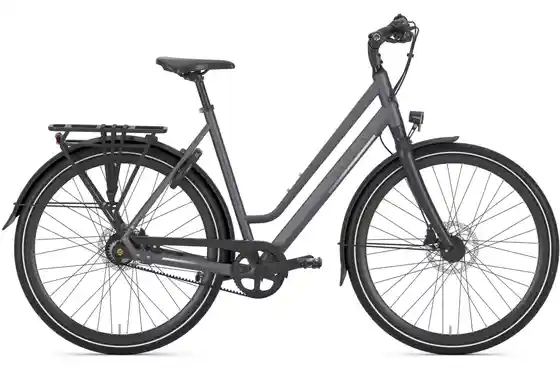 Gazelle Chamonix - Gazelle Chamonix S11 - 28 Zoll - Tiefeinsteiger - 2026