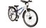 Bachtenkirch Browser - 24 Zoll - Diamant - 2026