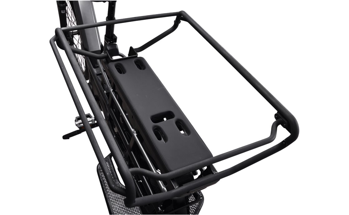 Kettler Flair L-N Belt + Passenger Kit - 545 Wh - 20 Zoll - Longtail - 2026