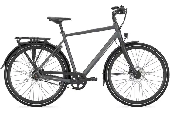 Gazelle Chamonix - Gazelle Chamonix S11 - 28 Zoll - Diamant - 2026